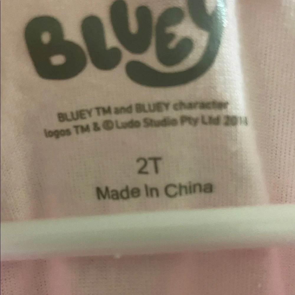 Pink and Blue Bluey and Bingo dress